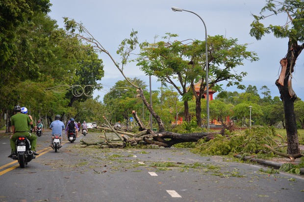 Cây ngã la liệt khiến 1 người chết và nhiều người bị thương, toàn tỉnh Thừa Thiên Huế mất điện sau khi bão số 5 đổ bộ - Ảnh 2.