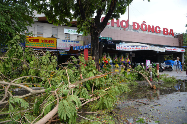 Cây ngã la liệt khiến 1 người chết và nhiều người bị thương, toàn tỉnh Thừa Thiên Huế mất điện sau khi bão số 5 đổ bộ - Ảnh 3.