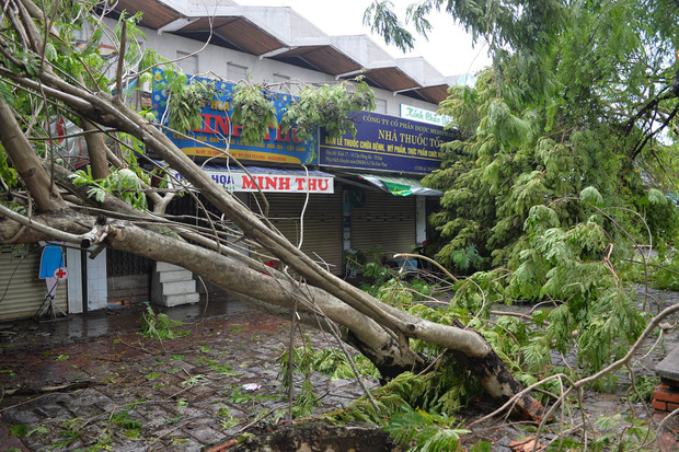 Cây ngã la liệt khiến 1 người chết và nhiều người bị thương, toàn tỉnh Thừa Thiên Huế mất điện sau khi bão số 5 đổ bộ - Ảnh 5.