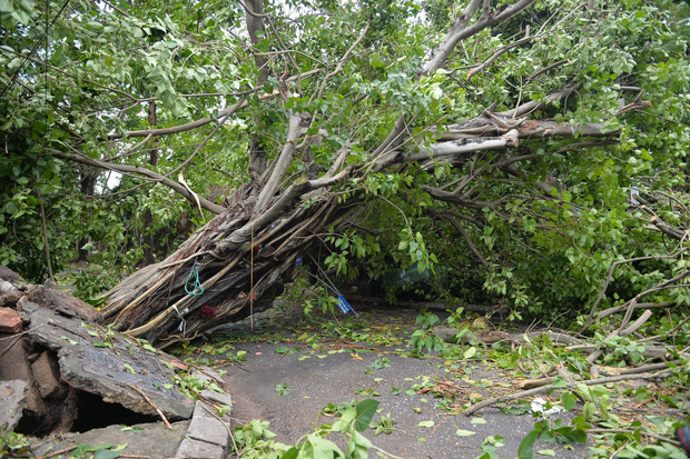 Cây ngã la liệt khiến 1 người chết và nhiều người bị thương, toàn tỉnh Thừa Thiên Huế mất điện sau khi bão số 5 đổ bộ - Ảnh 7.
