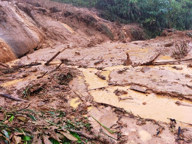  Cơn bão số 5: Sạt lở đất sau bão vùi lấp đàn trâu 8 con ở Nghệ An - Ảnh 3.