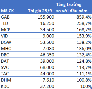 Hàng trăm cổ phiếu giúp nhà đầu tư “tránh bão” Covid, mang lại lợi nhuận vượt xa lãi suất ngân hàng trong 9 tháng đầu năm - Ảnh 1.