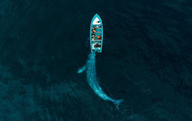 Hàng loạt tác phẩm của Việt Nam lọt top cuộc thi Drone Photo Awards 2020, tấm ảnh đạt giải nhất quá xuất sắc vì độ ảo diệu - Ảnh 4.