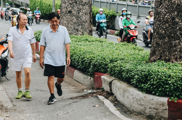 Sau vụ cây xanh bật gốc đè chết người: Vẫn còn nhiều cây đã già cỗi có rễ lộ thiên, nhánh vươn ra mặt đường ở Sài Gòn - Ảnh 16.