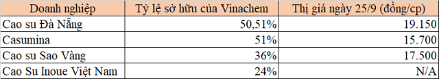 Tập đoàn Cao su muốn M&A các công ty săm lốp thuộc Vinachem - Ảnh 5.