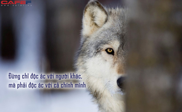 Người thành công phải tư duy như sói đầu đàn: Không chỉ độc ác với người khác, mà phải độc ác với chính mình - Ảnh 1.