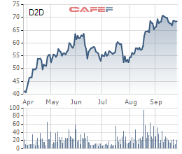 D2D: Cổ phiếu tăng mạnh, trình phương án phát hành cổ phiếu thưởng tỷ lệ 42% - Ảnh 1.