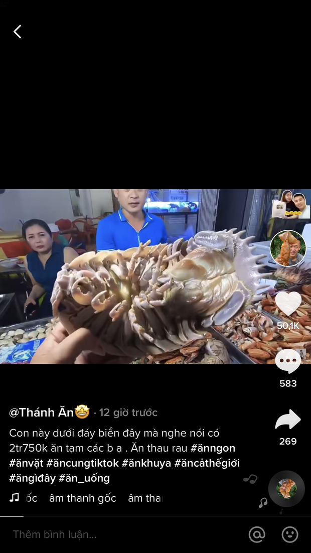 Loại hải sản được cho là ngon hơn cả tôm hùm ở Việt Nam, vì hiếm có khó tìm nên được rao bán với giá “đắt xắt ra miếng”? - Ảnh 1.