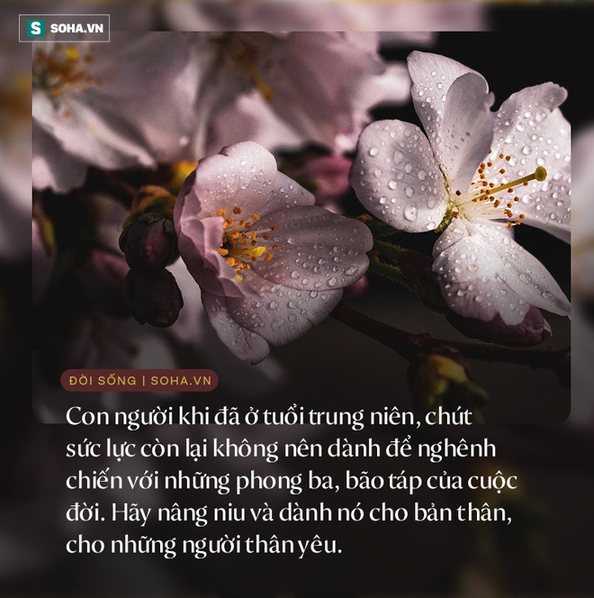Con người khi đã bước sang tuổi trung niên, có 3 nơi nhất định không nên đặt chân đến - Ảnh 1. Con người khi đã bước sang tuổi trung niên, có 3 nơi nhất định không nên đặt chân đến - Ảnh 1.