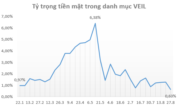 VEIL Dragon Capital nắm giữ lượng tiền mặt thấp nhất kể từ đầu năm 2020 - Ảnh 1.