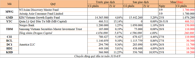Chuyển động quỹ đầu tư tuần 31/8-6/9: Arisaig mua MWG, CTBC Vietnam giải ngân vào VFMVN Diamond - Ảnh 1.