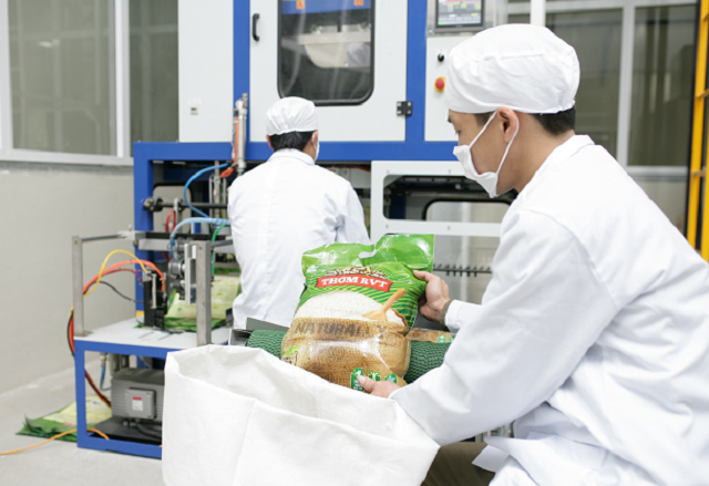 Chính phủ ban hành quy định chứng nhận chủng loại gạo thơm xuất khẩu sang EU - Ảnh 1.