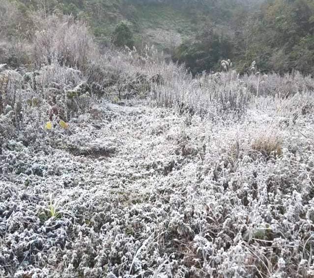  Nhiều nơi ở Nghệ An xuất hiện băng giá, cây cối, vật dụng đều bị đóng băng - Ảnh 13.
