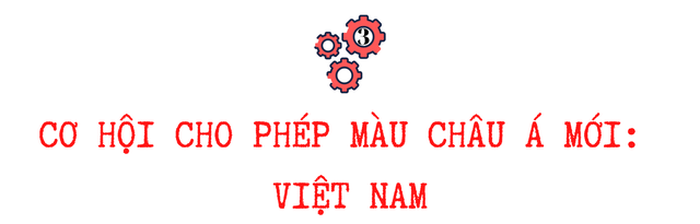 Những yếu tố thiên thời để Việt Nam trở thành phép màu châu Á mới - Ảnh 5.