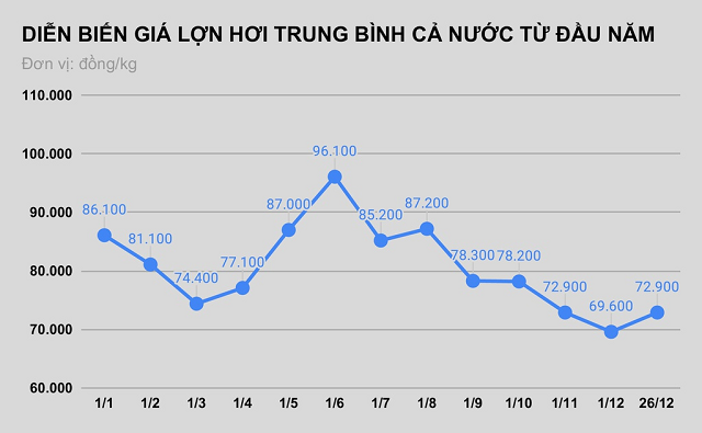 Những ‘con sóng cổ phiếu’ trong năm VN-Index biến động 450 điểm - Ảnh 5.