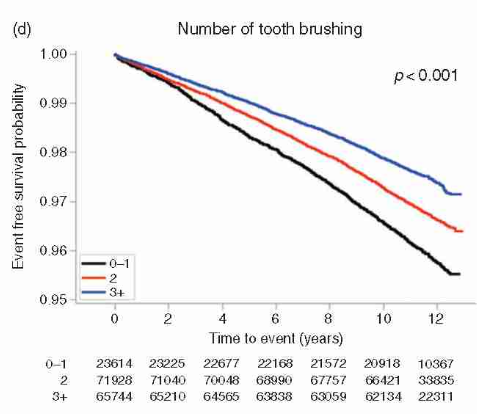 Mỗi phút lại có 1 người đột tử, sau 10 năm nghiên cứu: Đánh răng có liên quan đến bệnh tim - Ảnh 4.