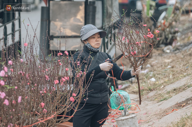 Ảnh: Trời lạnh sương mờ, làng đào Nhật Tân khoe sắc, đúng là Tết đang đến rất gần rồi! - Ảnh 11.