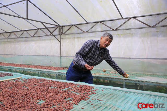 Tiến sĩ về làm nông dân: Hồi sinh đồi đá trơ trọi nhờ cỏ dại, trồng cacao không hoá chất tạo dòng socola đắt nhất Việt Nam - Ảnh 9.