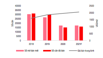 Giá nhà 2021 tăng do chủ đầu tư găm hàng kìm nguồn cung? - Ảnh 1.