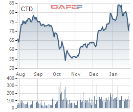 Coteccons (CTD): Thêm 1 quý chi phí tăng đột biến, cả năm LNTT xấp xỉ kế hoạch với 589 tỷ đồng - Ảnh 2.