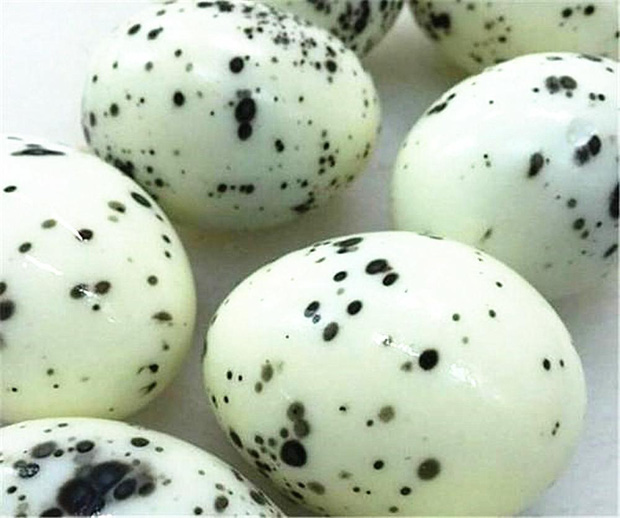 4 kiểu trứng hỏng gây hại cho sức khỏe nhưng nhiều người vẫn tiếc rẻ mà cố ăn - Ảnh 1.