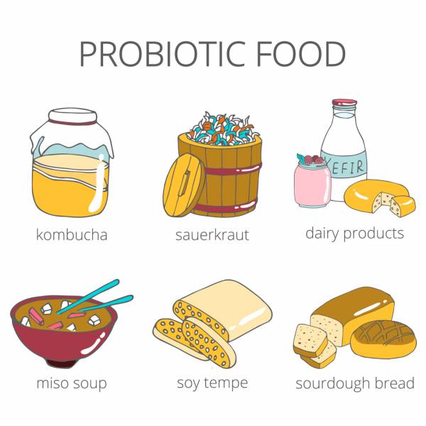 Sự khác biệt giữa prebiotics và probiotics - 2 chất dinh dưỡng vô cùng quan trọng đối với đường ruột, bổ sung đúng cách thì hệ tiêu hóa khỏe mạnh, sức đề kháng tăng cường - Ảnh 2.