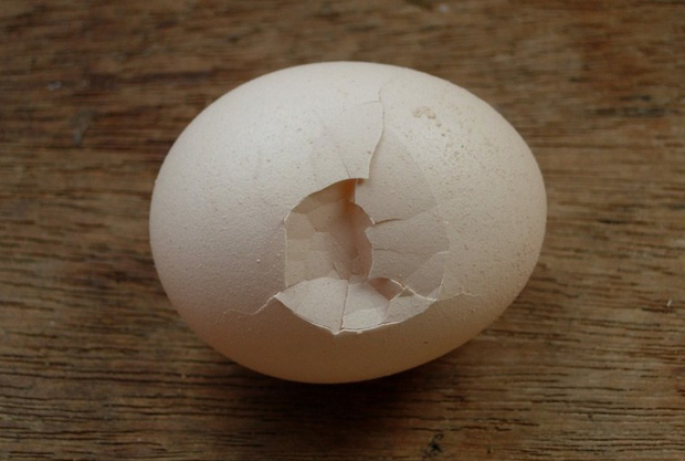 4 kiểu trứng hỏng gây hại cho sức khỏe nhưng nhiều người vẫn tiếc rẻ mà cố ăn - Ảnh 4.
