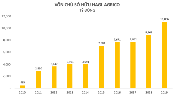 HAGL Agrico (HNG): Nhìn lại thập niên đầy thăng trầm và những cái giá phải trả của bầu Đức - Ảnh 1.