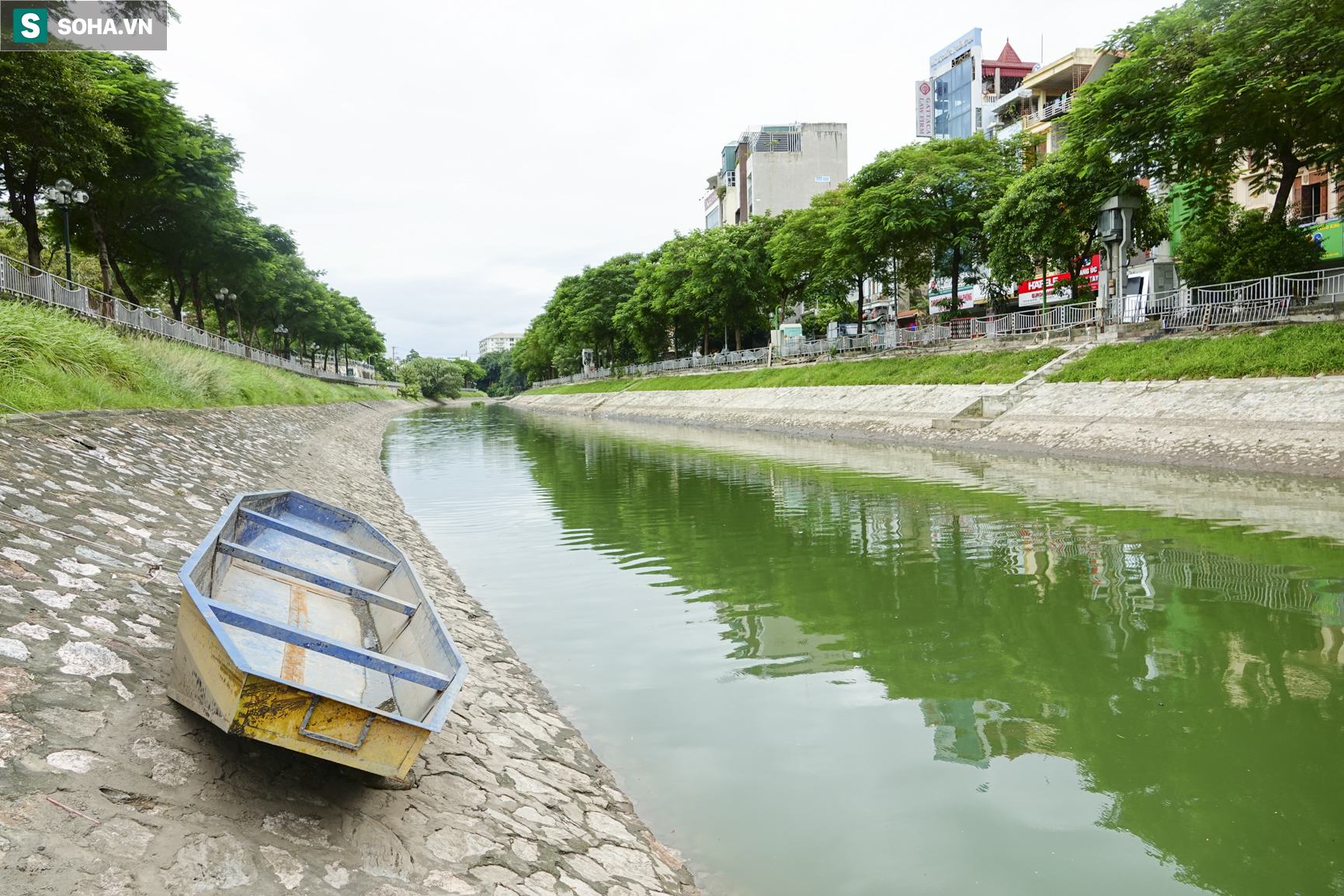 Nước sông Tô Lịch bỗng chuyển màu xanh ngắt hiếm thấy, người dân hân hoan bắt hàng tạ cá - Ảnh 11.