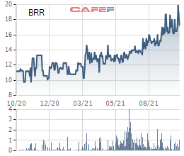 Giá bán tăng cao, Cao su Bà Rịa (BRR) báo lãi quý 3/2021 tăng gấp 3 lần cùng kỳ bất chấp sản lượng tiêu thụ sụt giảm - Ảnh 2.