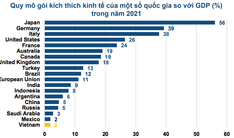 Nhìn lại quy mô các gói kích thích kinh tế của Việt Nam so với GDP năm 2021 - Ảnh 2.