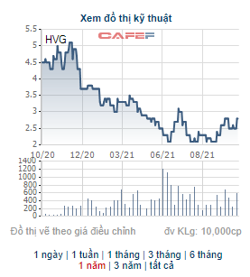 Một Thành viên HĐQT đã bán nốt 2 triệu cổ phiếu HVG, không còn là cổ đông của Hùng Vương