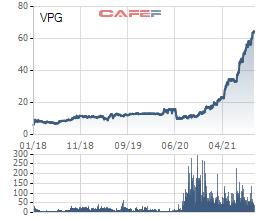 Việt Pháp Group (VPG): 9 tháng báo lãi 360 tỷ đồng, cao gấp 13 lần cùng kỳ và gấp 2,4 lần mục tiêu cả năm - Ảnh 2.