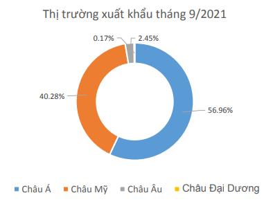 Dệt may Thành Công (TCM): Quý 3 lỗ 3 tỷ đồng – lần đầu báo lỗ trong vòng 9 năm qua - Ảnh 2.