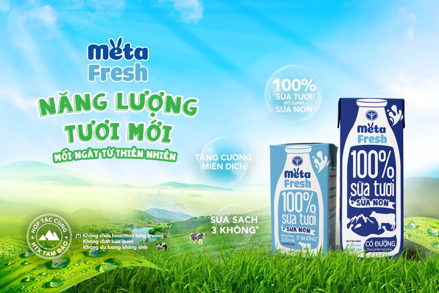 Nutricare ra mắt sản phẩm mới: Sữa tươi bổ sung sữa non Meta Fresh - Ảnh 1.