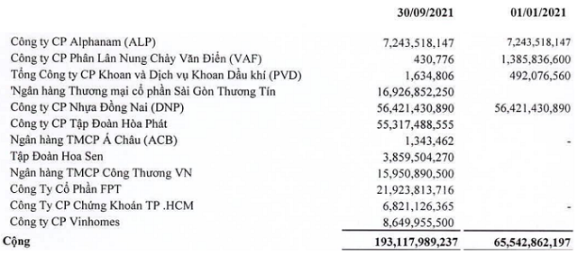 Chi hàng trăm tỷ đầu tư chứng khoán, SAM Holdings lãi lớn với các mã HSG, HPG, FPT… - Ảnh 1.