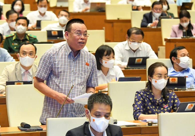 Nghi ngại nhân viên bán bảo hiểm cố tình khai sai thông tin, khiến khách hàng bị từ chối chi trả bồi thường vào Nghị trường Quốc hội - Ảnh 2.