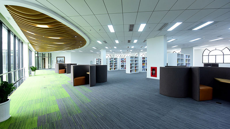 3 Đại học dành cho con nhà giàu ở Việt Nam: Học phí gần tỉ đồng, bên trong trường đẹp như phim Vườn sao băng Hàn Quốc - Ảnh 5.