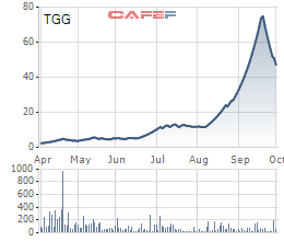 Louis Capital (TGG) tạm hoãn phương án phát hành 30 triệu cổ phiếu, tổ chức họp ĐHĐCĐ bất thường lần 2/2021 - Ảnh 2.