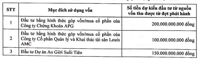 Louis Capital (TGG) tạm hoãn phương án phát hành 30 triệu cổ phiếu, tổ chức họp ĐHĐCĐ bất thường lần 2/2021 - Ảnh 1.