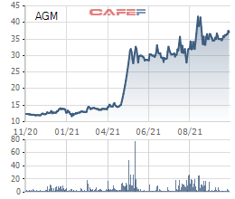 Agimex (AGM) muốn huy động 500 tỷ đồng trái phiếu riêng lẻ để mua hai nhà máy gạo - Ảnh 2.