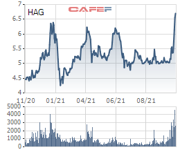 HAGL: Thị giá tăng 38% sau 9 phiên, lãnh đạo tiếp tục đăng ký bán gần hết lượng cổ phần còn nắm giữ trước thềm từ nhiệm - Ảnh 1.
