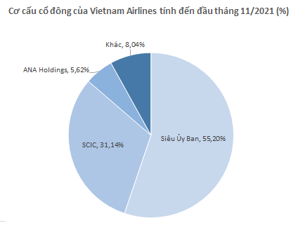 Hơn 796 triệu cổ phiếu HVN của Vietnam Airlines sắp giao dịch bổ sung trên HoSE - Ảnh 1.