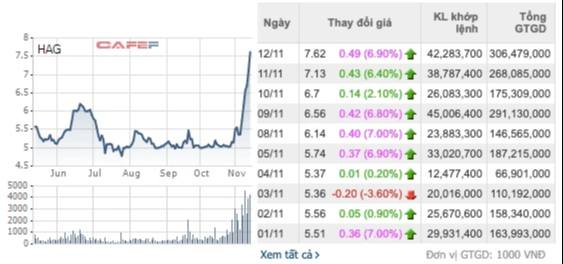 Cổ phiếu HAG liên tục tăng trần, bầu Đức đã bỏ túi thêm hơn 800 tỷ chỉ sau nửa tháng - Ảnh 1.