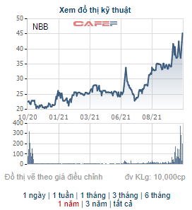 NBB tăng 80% trong vòng 1 tháng, CII bán ra 6,3 triệu cổ phiếu chốt lãi - Ảnh 1.