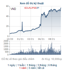 VND tăng gấp 5 lần từ đầu năm, VnDirect đưa toàn bộ gần 6 triệu cổ phiếu quỹ ra bán - Ảnh 1.