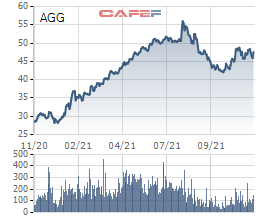 An Gia (AGG) thay đổi tỷ lệ phát hành cổ phiếu tăng vốn điều lệ từ 110% xuống còn 35% - Ảnh 1.