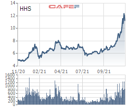 Hoàng Huy (HHS) chuẩn bị phát hành thêm gần 47 triệu cổ phiếu, tăng vốn điều lệ lên hơn 3.200 tỷ đồng - Ảnh 2.