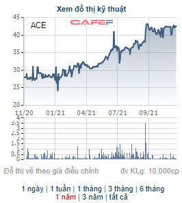 Cổ phiếu tăng gấp rưỡi từ đầu năm, Bê tông ly tâm An Giang (ACE) sắp trả cổ tức bằng tiền tỷ lệ 35% - Ảnh 1.