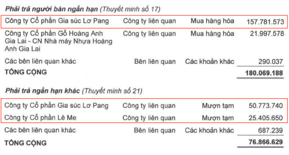 ĐHĐCĐ Hoàng Anh Gia Lai (HAGL): Sẽ chuyển 2 công ty đang nợ hơn 5.600 tỷ đồng thành công ty con, kỳ vọng 2023 xóa hết lỗ lũy kế - Ảnh 8.